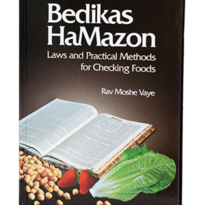 BEDIKAT HAMAZON — עותק לבדיקה