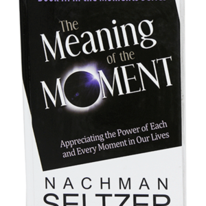 MEANING OF THE MOMENT — עותק לבדיקה