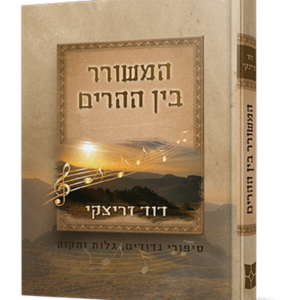 המשורר בין ההרים – זריצקי — עותק לבדיקה
