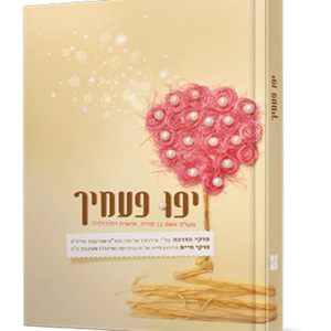 יפו פעמייך — עותק לבדיקה