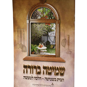 שמיטה ברורה — עותק לבדיקה