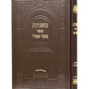 אוצר גאוני ספרד משניות שביעית — עותק לבדיקה