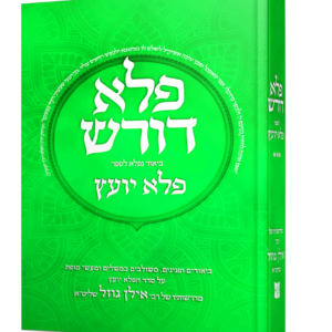 פלא דורש על הפלא יועץ ג — עותק לבדיקה