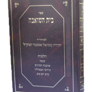בית השואבה — עותק לבדיקה