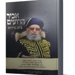 אביר הרועים ג בית מידות