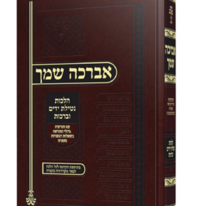 אברכה שמך – הלכות ברכות — עותק לבדיקה