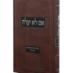 אם לא יעלה — עותק לבדיקה