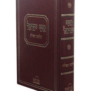 אשי ישראל הלכות תפילה — עותק לבדיקה