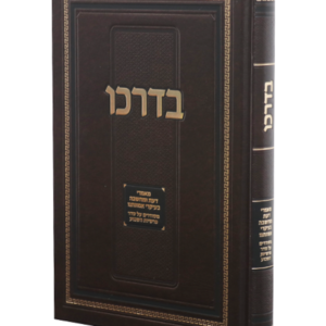 בדרכו — עותק לבדיקה