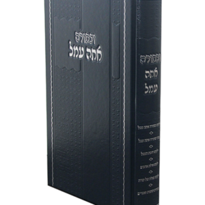 ובתורה אתה עמל — עותק לבדיקה