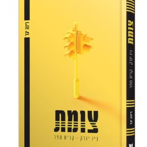 צומת ניו יורק קרית ספר — עותק לבדיקה