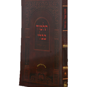 גמרא עוז והדר 'שינון' — עותק לבדיקה