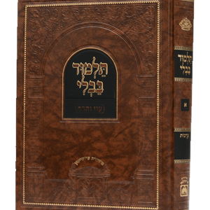 גמרא מנוקד עם מפרשים — עותק לבדיקה