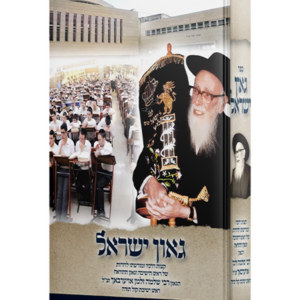גאון ישראל — עותק לבדיקה