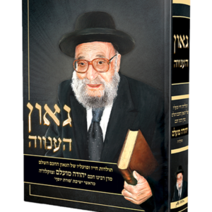 גאון הענווה — עותק לבדיקה