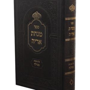 מנחת אריה על מסכת מגילה — עותק לבדיקה