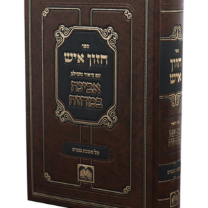 מסכת נגעים עם חזון איש המבואר — עותק לבדיקה