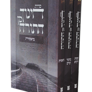 חינוך מן התורה — עותק לבדיקה