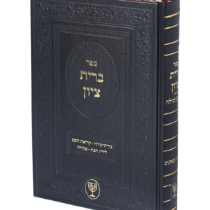 ברית בציון — עותק לבדיקה