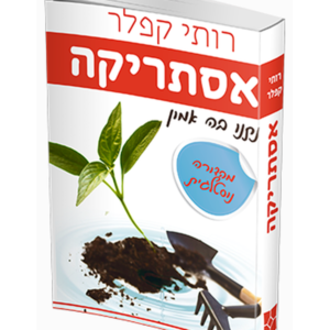 אסתריקה — עותק לבדיקה