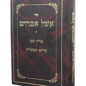 אשל אברהם פדיון הבן וערוב תבשילין — עותק לבדיקה