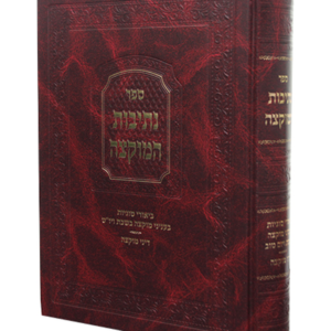 נתיבות המוקצה — עותק לבדיקה