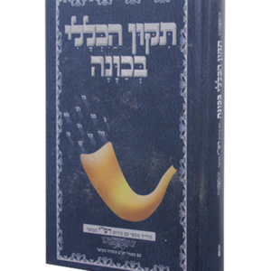 תיקון הכללי בכוונה — עותק לבדיקה