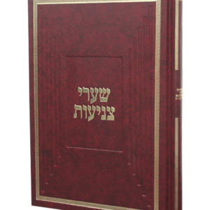 שערי צניעות — עותק לבדיקה