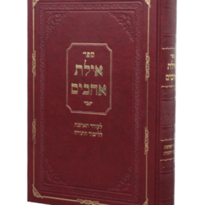 אילת אהבים לעורר האהבה ללימוד התורה — עותק לבדיקה