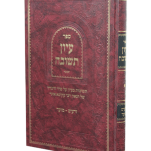 עיון תשובה על רעק"א זרעים מועד — עותק לבדיקה