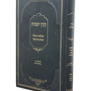 קנין יבמות – מס' יבמות עם טבלאות וביאור גמרא ופירושה — עותק לבדיקה
