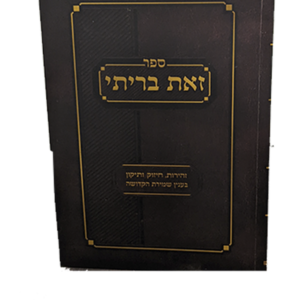 זאת בריתי — עותק לבדיקה