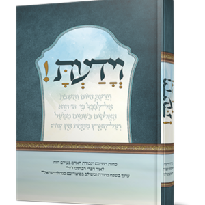 וידעת — עותק לבדיקה
