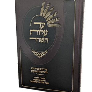 עד עלות השחר — עותק לבדיקה
