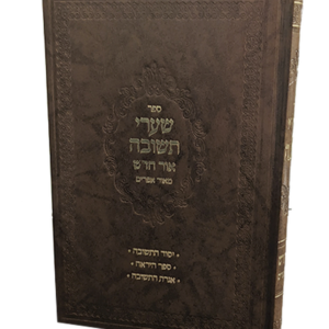 שערי תשובה אור חדש — עותק לבדיקה