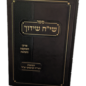 שיח שידוך — עותק לבדיקה
