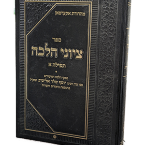 ציוני הלכה תפילה א — עותק לבדיקה