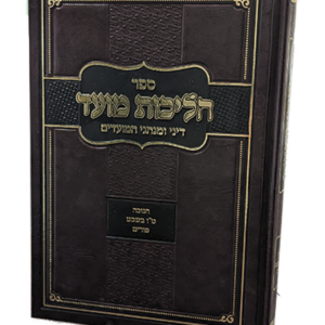 הליכות מועד – חנוכה טו בשבט פורים — עותק לבדיקה