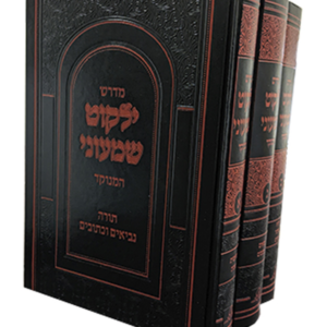 ילקוט שמעוני — עותק לבדיקה