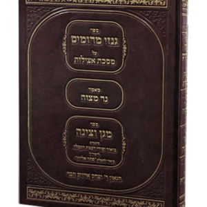 גנזי מרומים – על מסכת אצילות וספר מגן וצינה — עותק לבדיקה