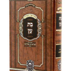 בת עין מנוקד — עותק לבדיקה
