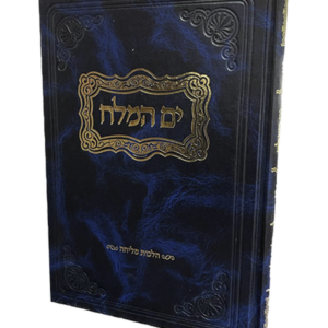 ים המלח – הלכות מליחה — עותק לבדיקה