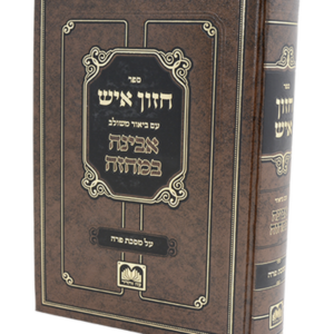 חזון איש המבואר על מסכת פרה — עותק לבדיקה