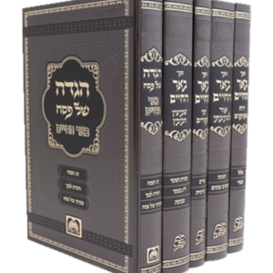 באר החיים על המועדים סט — עותק לבדיקה