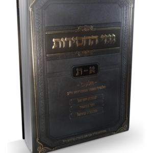 גנזי החסידות א-ת — עותק לבדיקה