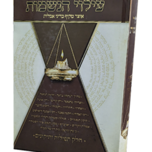 עילוי הנשמות — עותק לבדיקה