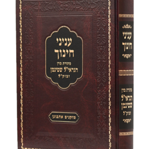 עניני חינוך – משנתו של מרן הגראי"ל שטינמן — עותק לבדיקה