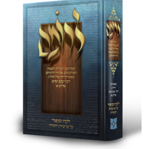 לרומם – על התורה — עותק לבדיקה