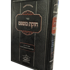 חוקת משפט — עותק לבדיקה