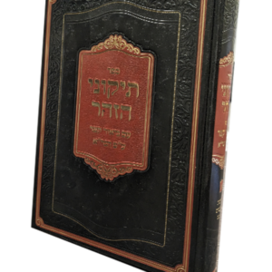 תיקוני הזוהר עם ביאור קצר על פי הגר"א — עותק לבדיקה
